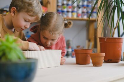 Is Aerogarden Going Out of Business