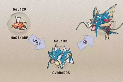 What Level Does Magikarp Evolve